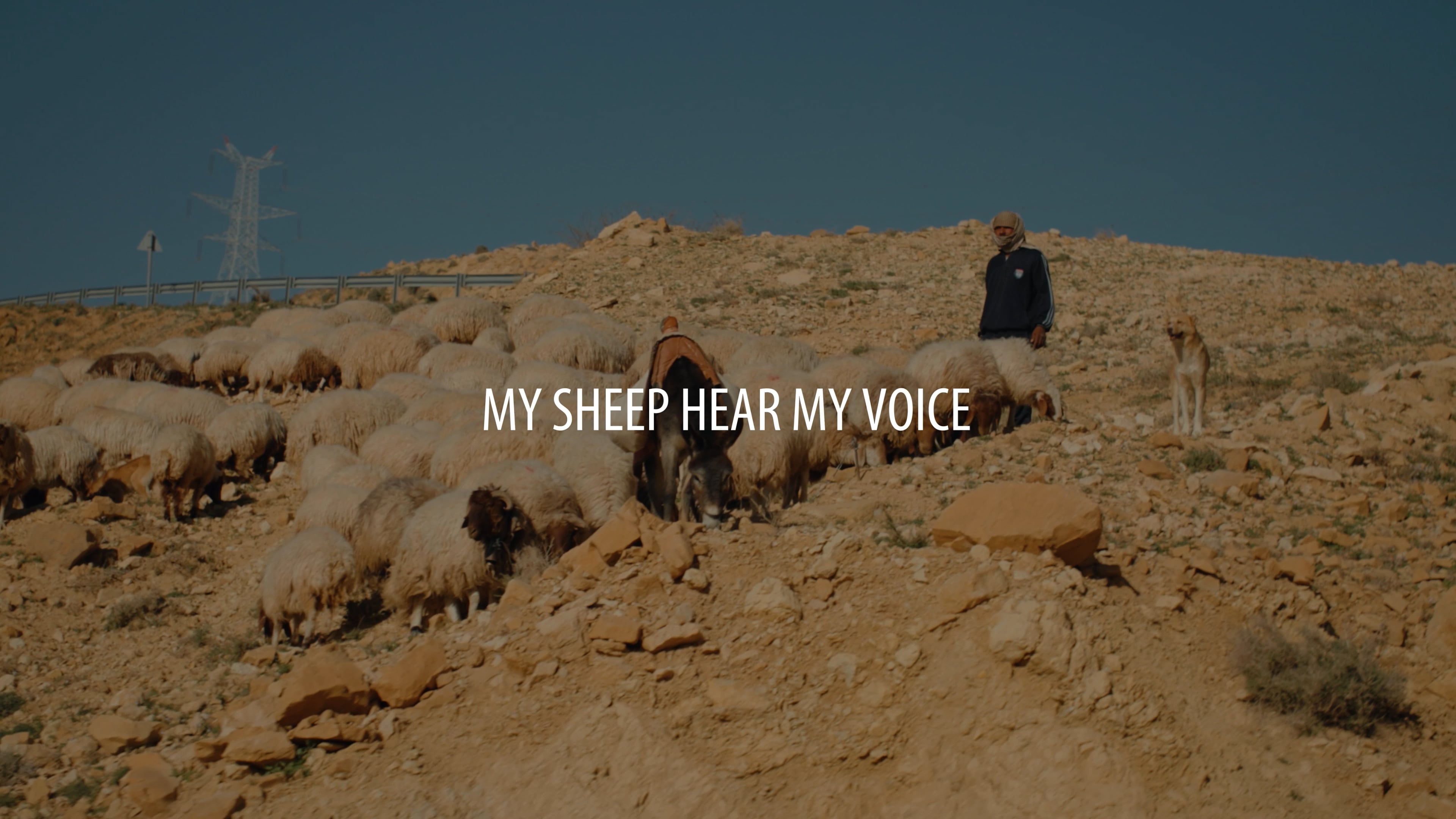 General Assembly Promotional